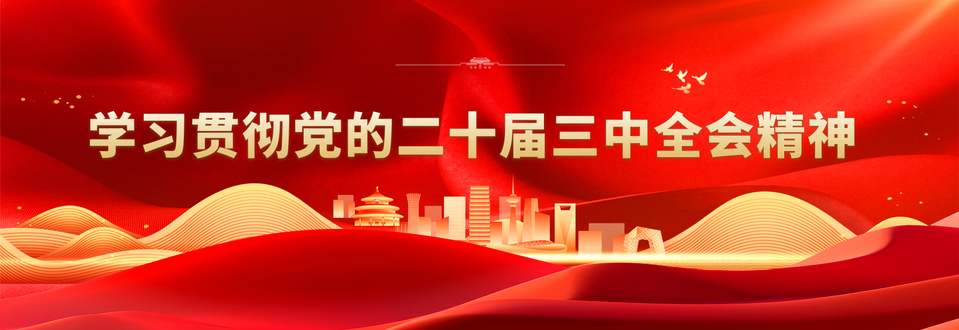 學習貫徹黨的二十屆三中全會精神